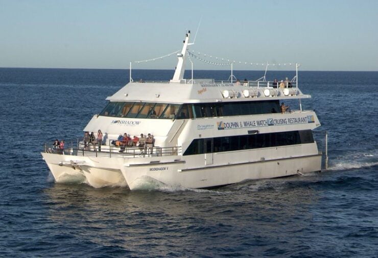 Port Stephens Small Group Dolphins & Dunes Combo - Activity Details
