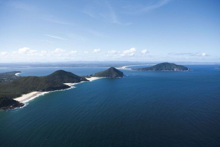 Port Stephens Small Group Whales & Dunes Combo - Experience Highlights