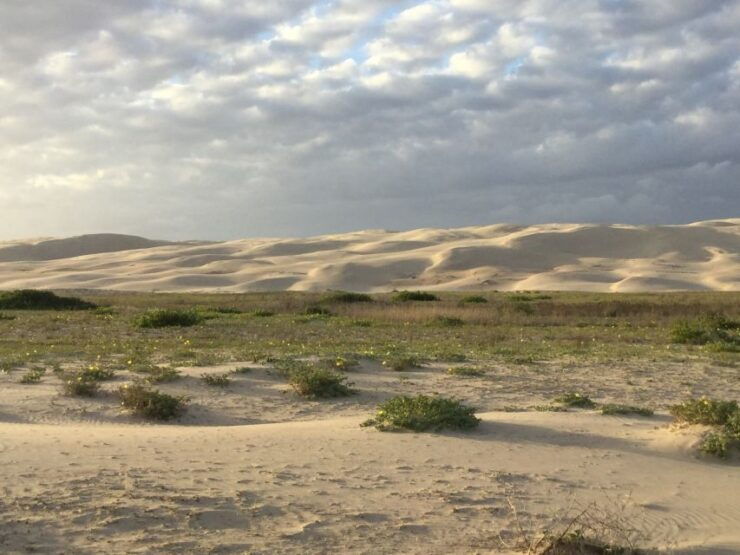 Port Stephens: Stockton Sand Dunes 4WD Tag-Along Tour - Tour Activity Details