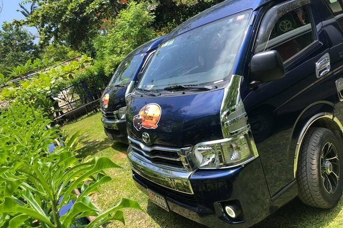 Port Vila International Airport to Hotel with Yumi Tours - What to Expect from the Yumi Tours Airport Transfer