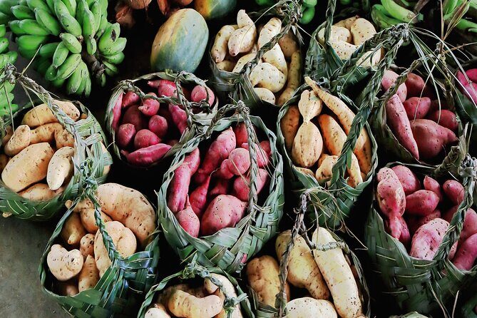 Port Vila's Guided Food Experience - Why This Tour Is a Great Choice