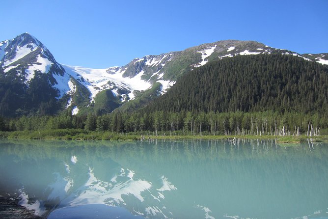 Portage Glacier Cruise a Self-Guided Tour - Common Questions
