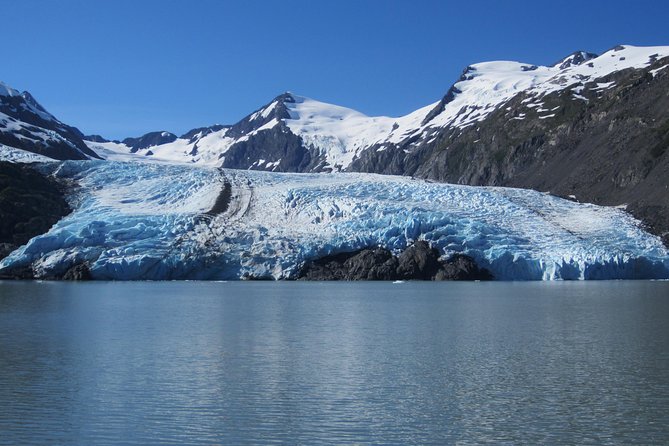 Portage Glacier Cruise and Wildlife Explorer Tour - Tour Itinerary