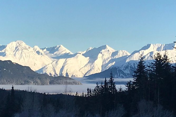 Portage Glacier Cruise and Wildlife Explorer Tour - Positive Reviews and Recommendations