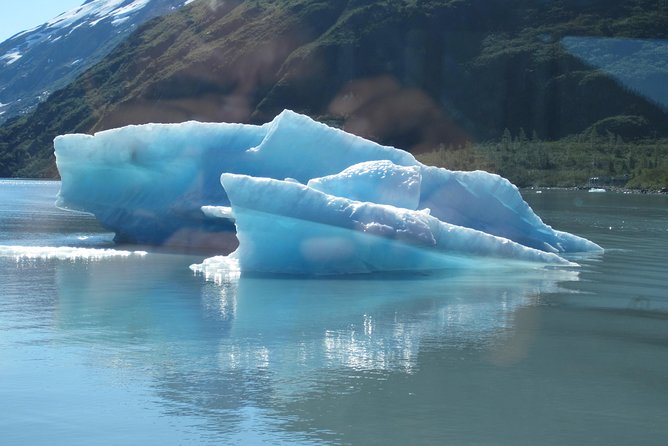 Portage Glacier Cruise and Wildlife Explorer Tour - Alaska Wildlife Conservation Center Visit