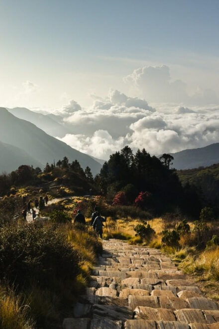Porter for Ghorepani Poon Hill Ghandruk Trek - Cultural Exchange With Porters