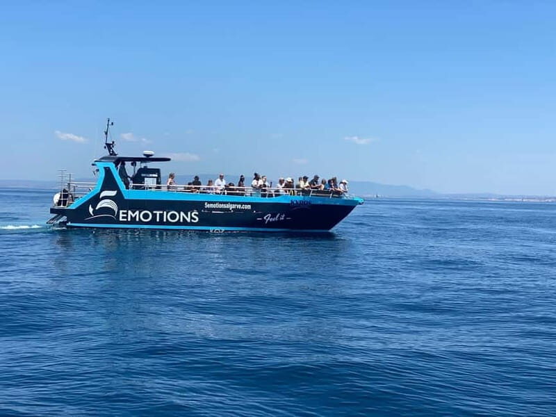 Portimão: Benagil Caves and Algarve Coast - The Sum Up