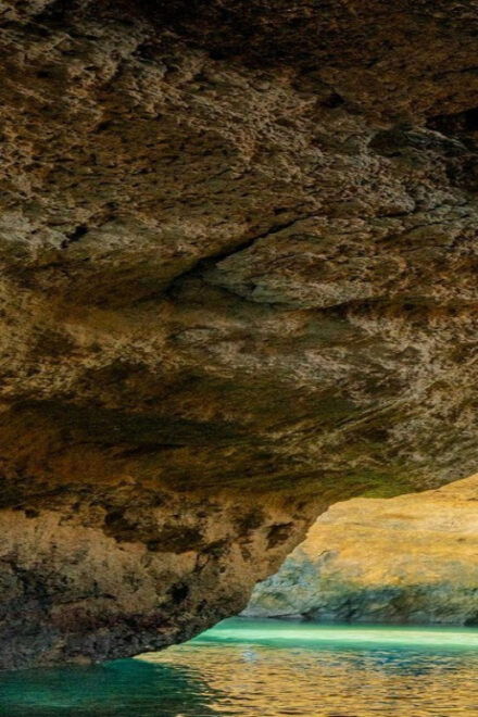 Portimão: Benagil Caves and Dolphin Watching - Who Can Participate