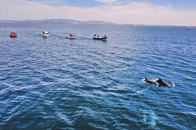 Portimao Caves and Coast Sightseeing Boat Tour - Common Questions