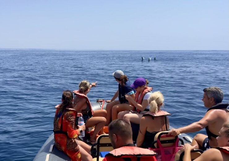 Portimão: Dolphin Watch & Benagil Caves With Biologist Guide - Activity Highlights