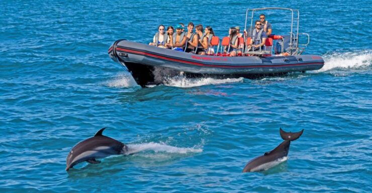 Portimão: Dolphin Watching Tour With Marine Biologist - Booking Details