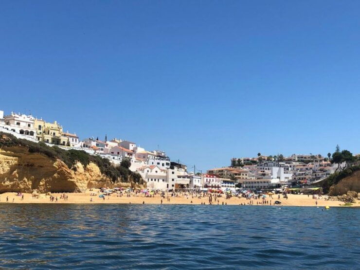 Portimão: Dophin Watching on the Algarve Coast - Booking Details