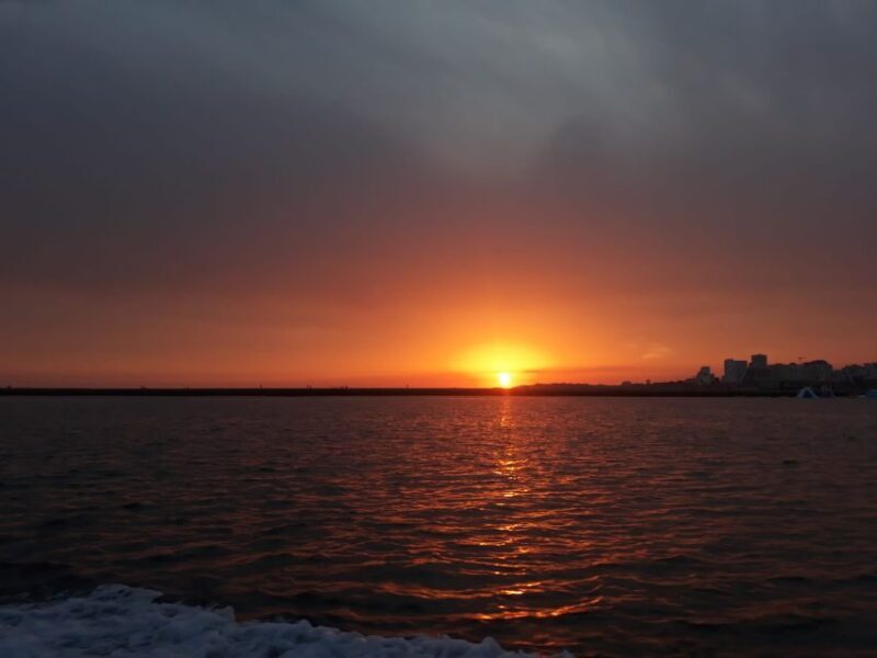 Portimão: Guided Coastal Caves Tour by Boat - What Makes This Tour Stand Out?