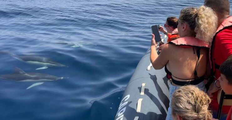 Portimão: Responsible Dolphin Watching With Biologist Guide - Tour Details