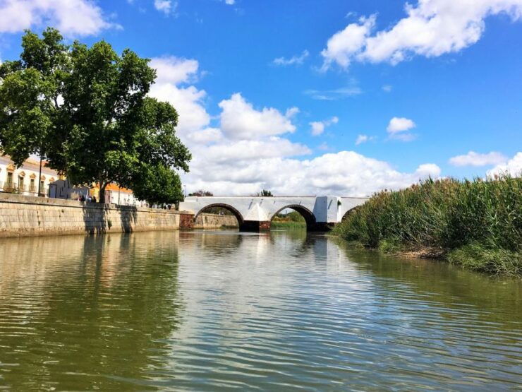 Portimão: Silves & Arade River History Tour on a Solar Boat - Experience