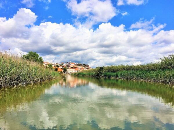 Portimão: Silves & Arade River History Tour on a Solar Boat - Essential Items to Bring