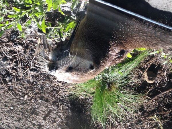 Portland: 3-Day Tour to Crater Lake With Wine Tasting - Common Questions