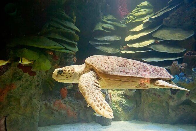 Portland Acadia National Park 3-Day Tour from Boston MA - Good To Know