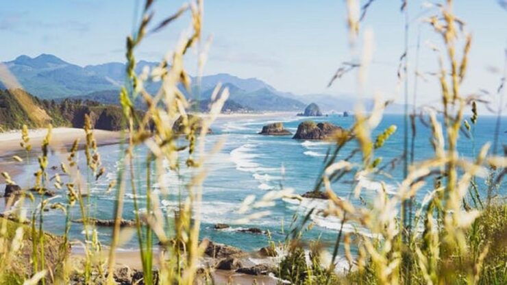 Portland: Cannon Beach, Trails, & Forests Oregon Coast Tour - Pickup and Feedback