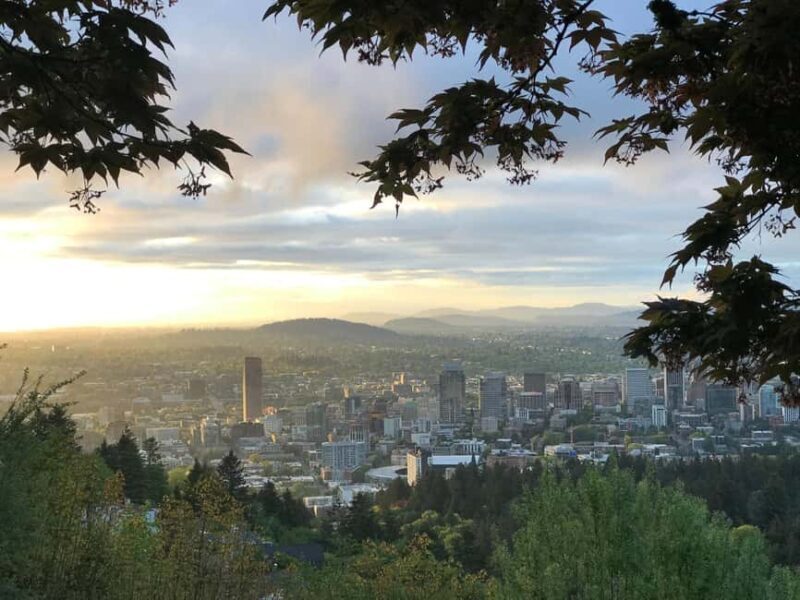 Portland: City Tour with Rose Garden and Donut Tasting - Delving into Portland’s Cultural District
