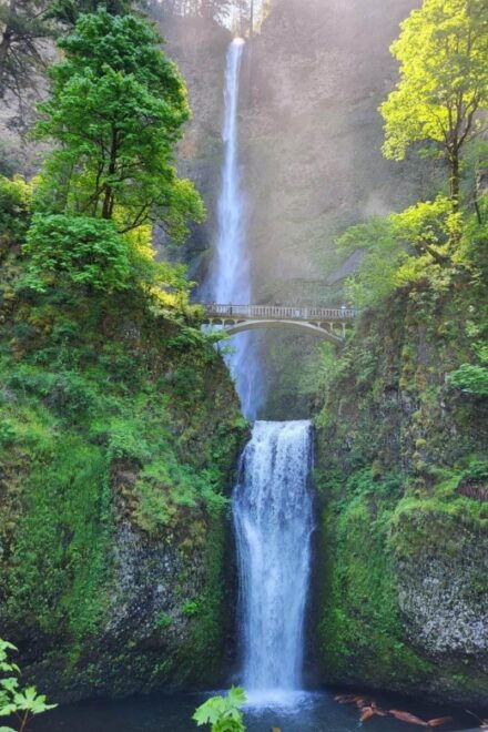 Portland City + Waterfall Combo: a Full Day of Sightseeing - Inclusions