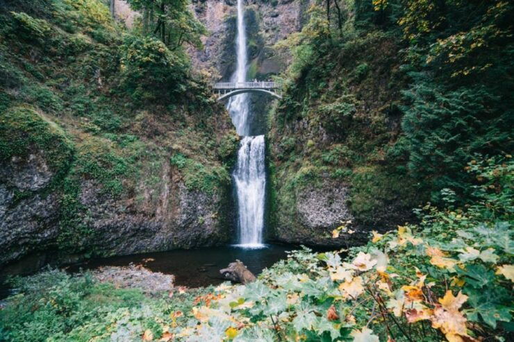 Portland: Columbia River Gorge Waterfalls Afternoon Tour - Activity Details