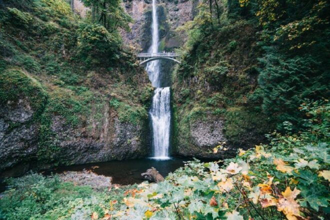 Portland: Columbia River Gorge Waterfalls Morning Tour - Description of the Tour