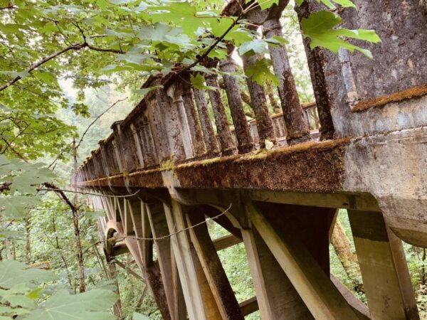 Portland: Columbia River Gorge Waterfalls Morning Tour - Common Questions