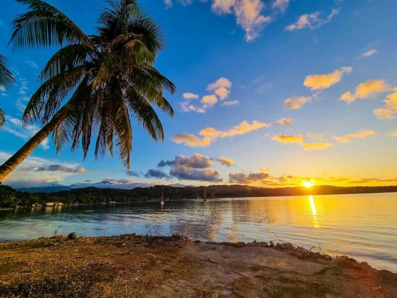 Portland Day Trip - Discovering Portland’s Natural and Cultural Treasures