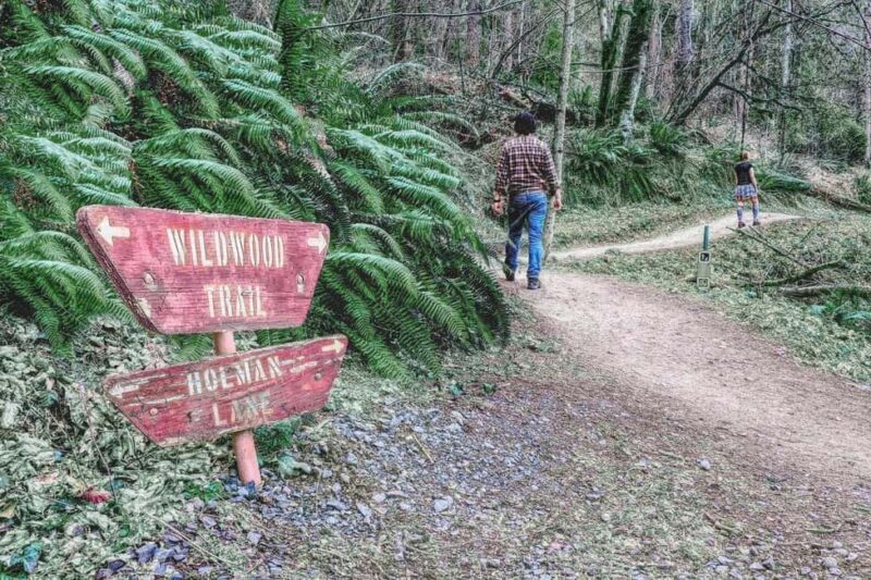 Portland: Forest Park Guided Hike with Witches Castle - What’s Included and Practical Details