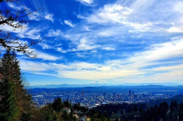 Portland: Half Day City Sightseeing Tour - Experience Highlights