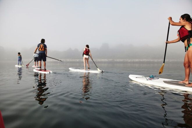Portland, ME: Guided Harbor Paddleboard Tour - Reserve Now & Pay Later