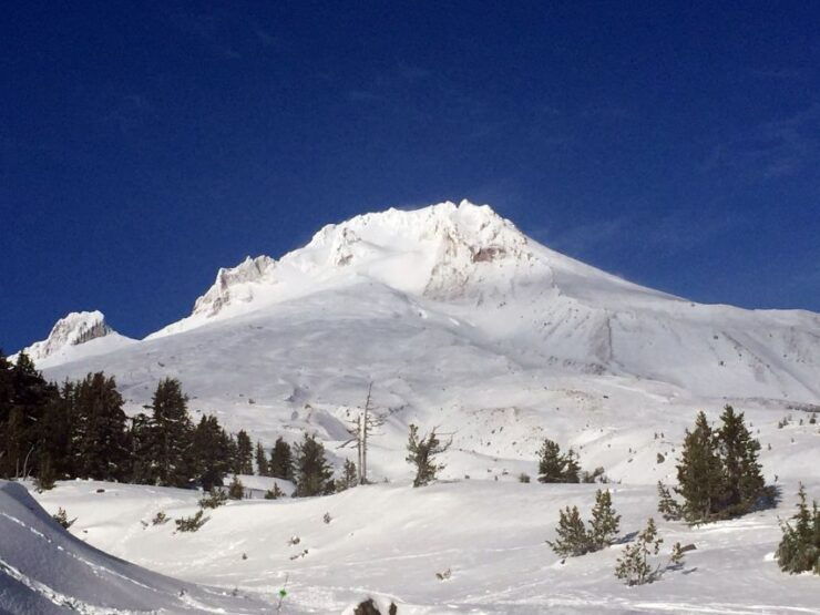 Portland: Mount Hood Wine and Waterfalls Full-Day Tour - Tour Details and Availability