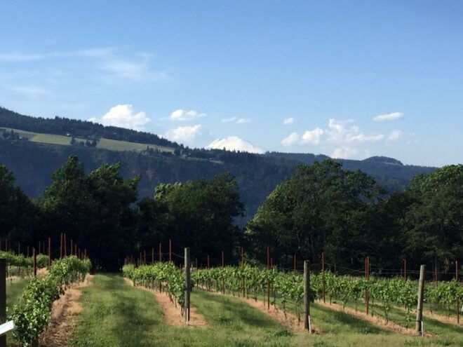 Portland: Mount Hood Wine and Waterfalls Full-Day Tour - Full-Day Tour of Beautiful Landscapes