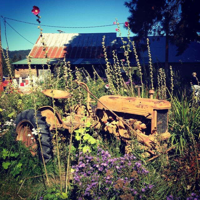 Portland: Mt. Hood Day Tour - Full Tour Description