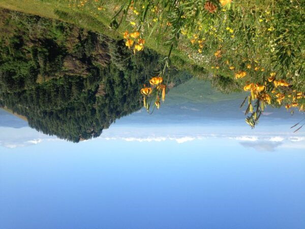 Portland: Multnomah Falls and Hood River Day Trip With Train - Wine Tasting Experience in the Columbia River Gorge