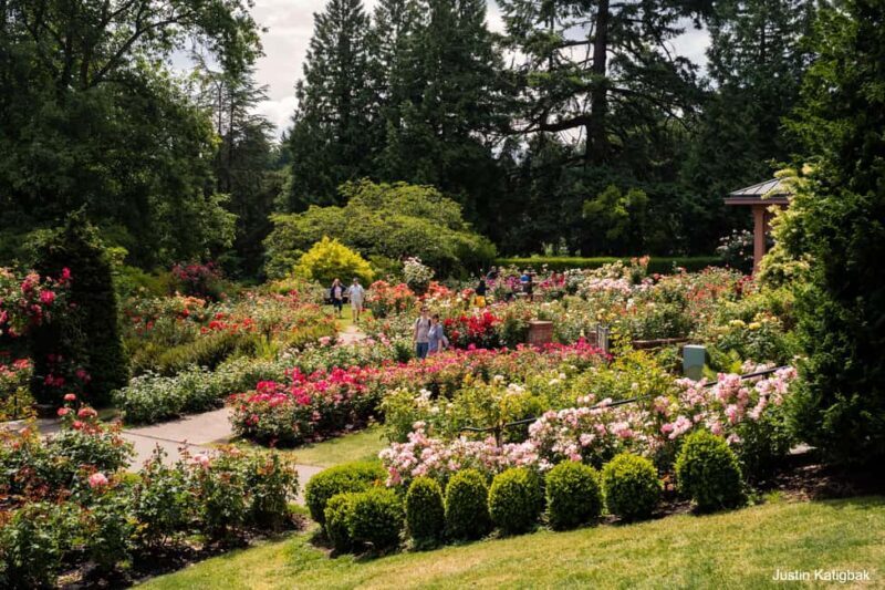 Portland, Oregon: City Highlights Tour with Aerial Tram Ride - A Practical Guide to Portland’s City Highlights Tour