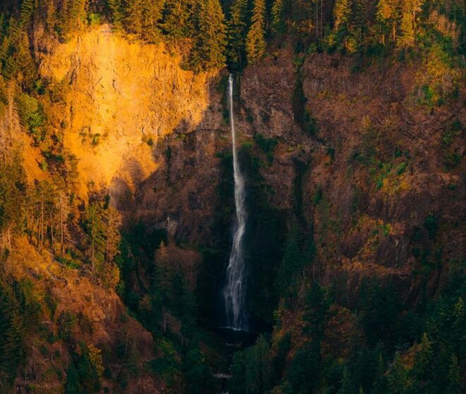 Portland: Private Multnomah Falls Tour - Highlights of the Multnomah Falls Tour