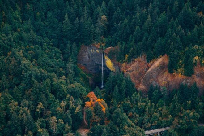 Portland: Private Multnomah Falls Tour - What to Expect on the Private Tour