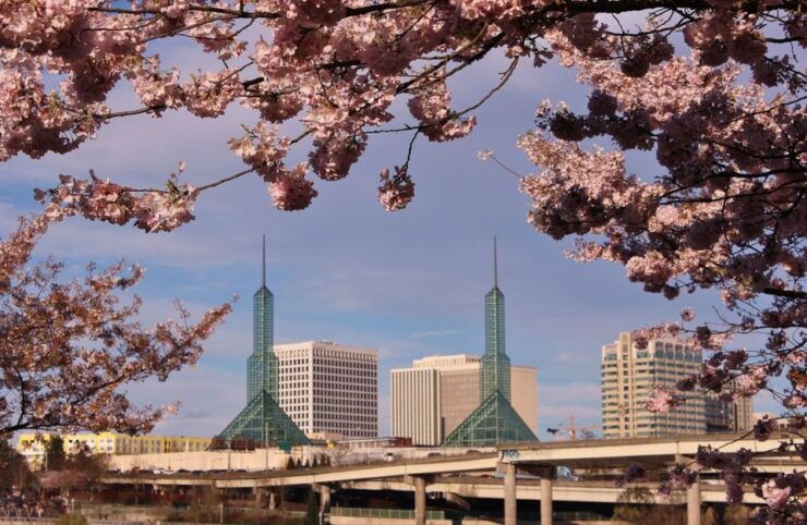 Portland: Sightseeing Tour With Columbia Gorge Waterfalls - Experience Highlights