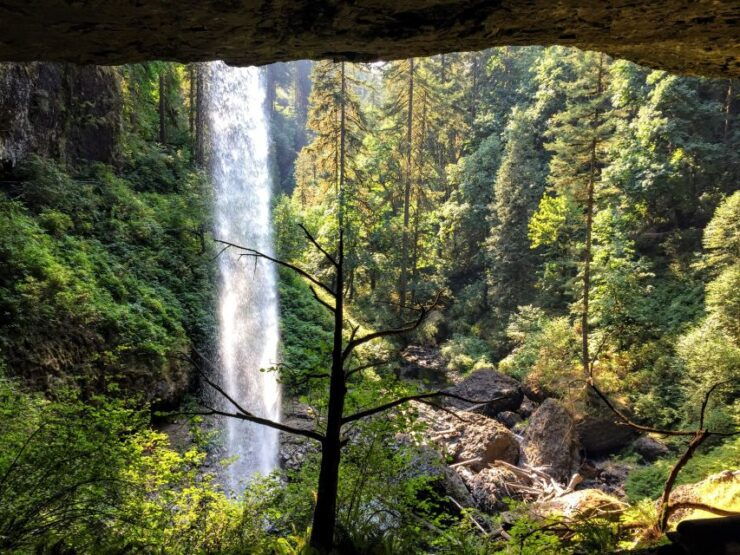 Portland: Silver Falls Hike and Wine Tour - Pickup Information