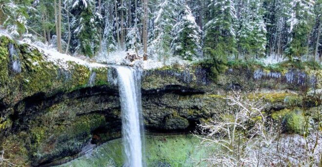 Portland: Silver Falls Hike and Wine Tour - Group Size