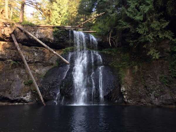 Portland: Silver Falls Hike and Wine Tour - Exploring Silver Falls State Park