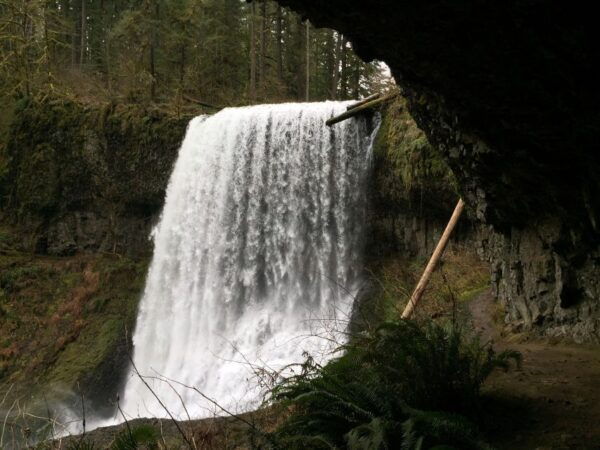 Portland: Silver Falls Hike and Wine Tour - Wine Tasting in Oregons Wine Region