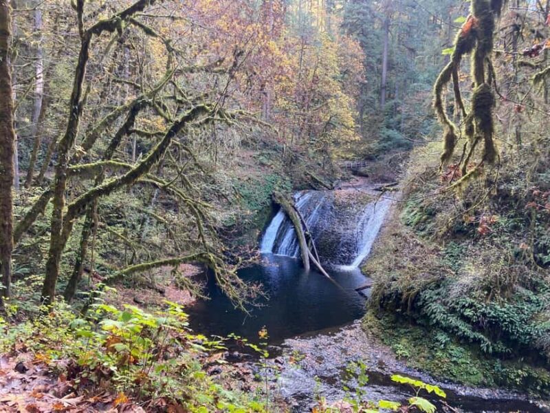 Portland: Silver Falls State Park Waterfall Hike - FAQs