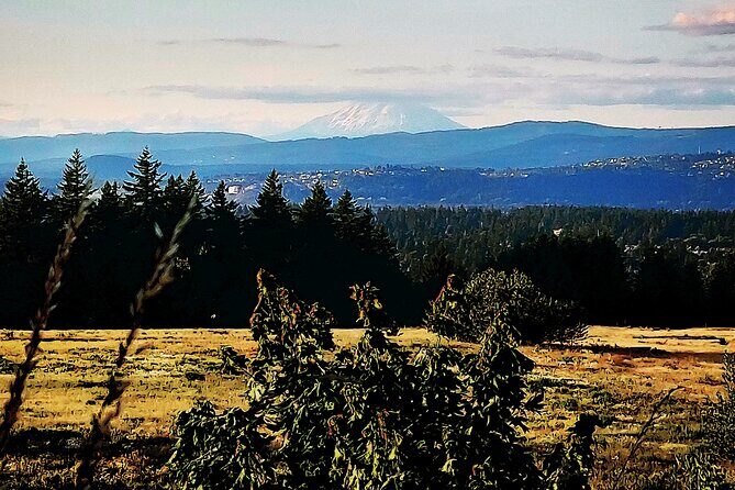 Portland Tea Party Outdoor Tea Ceremony Experience - Good To Know
