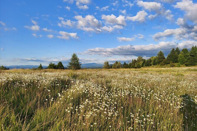 Portland Tea Party Outdoor Tea Ceremony Experience - Why This Tour Offers Real Value