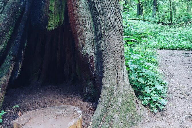 Portland Tea Party Outdoor Tea Ceremony Experience - FAQ