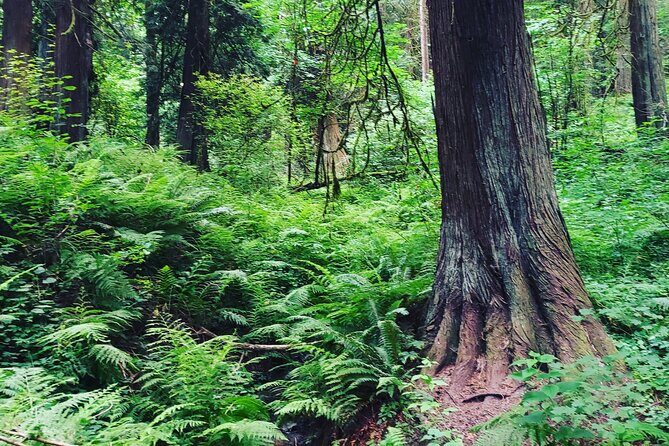 Portland Tea Party Outdoor Tea Ceremony Experience - Final Thoughts