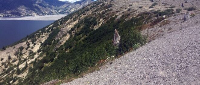 Portland: The Mt. St. Helens Adventure Tour - Duration and Availability